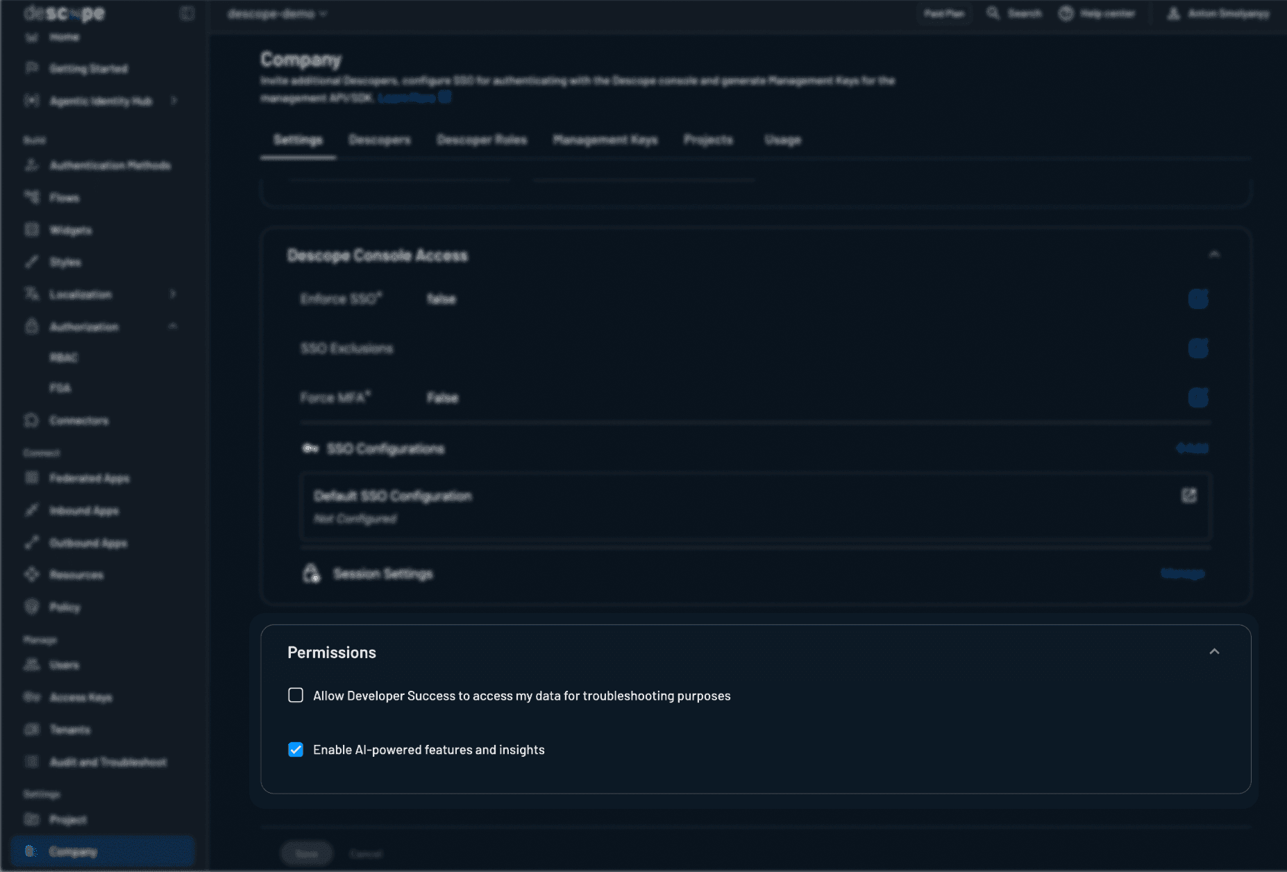 Descope Company Settings permissions