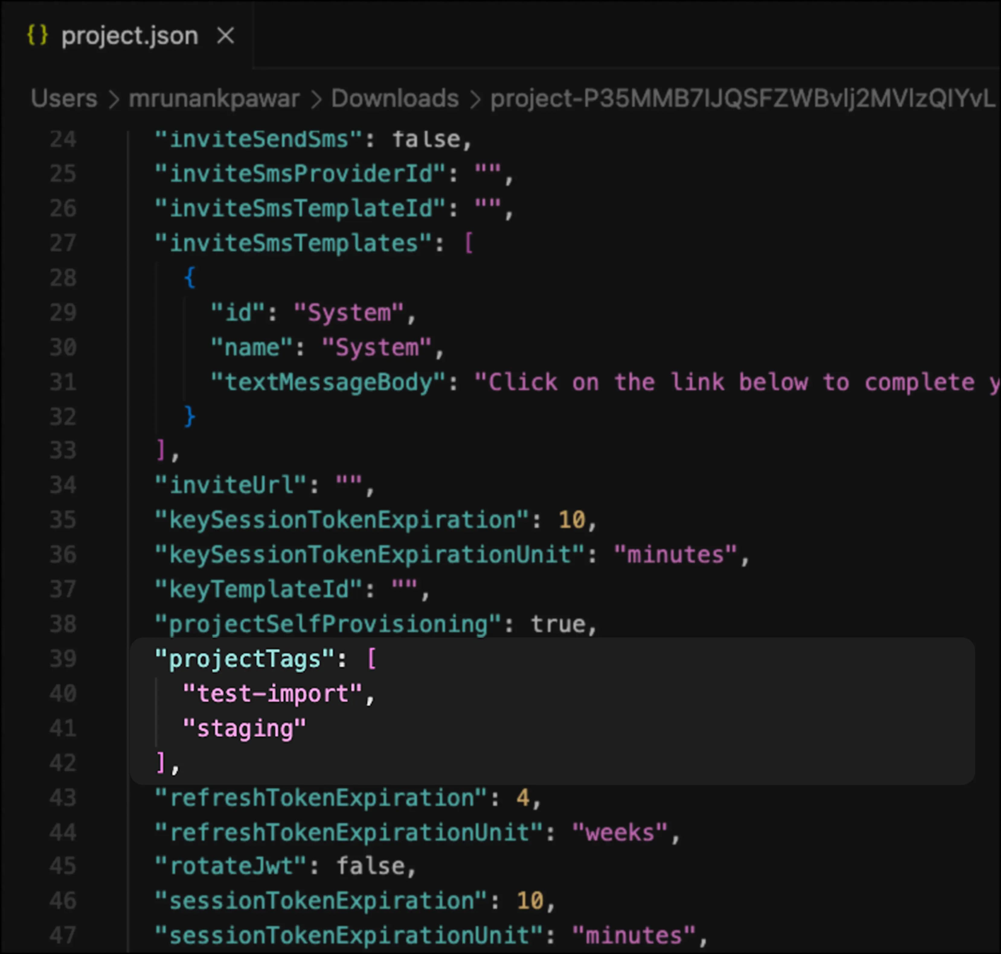project tags in project.json