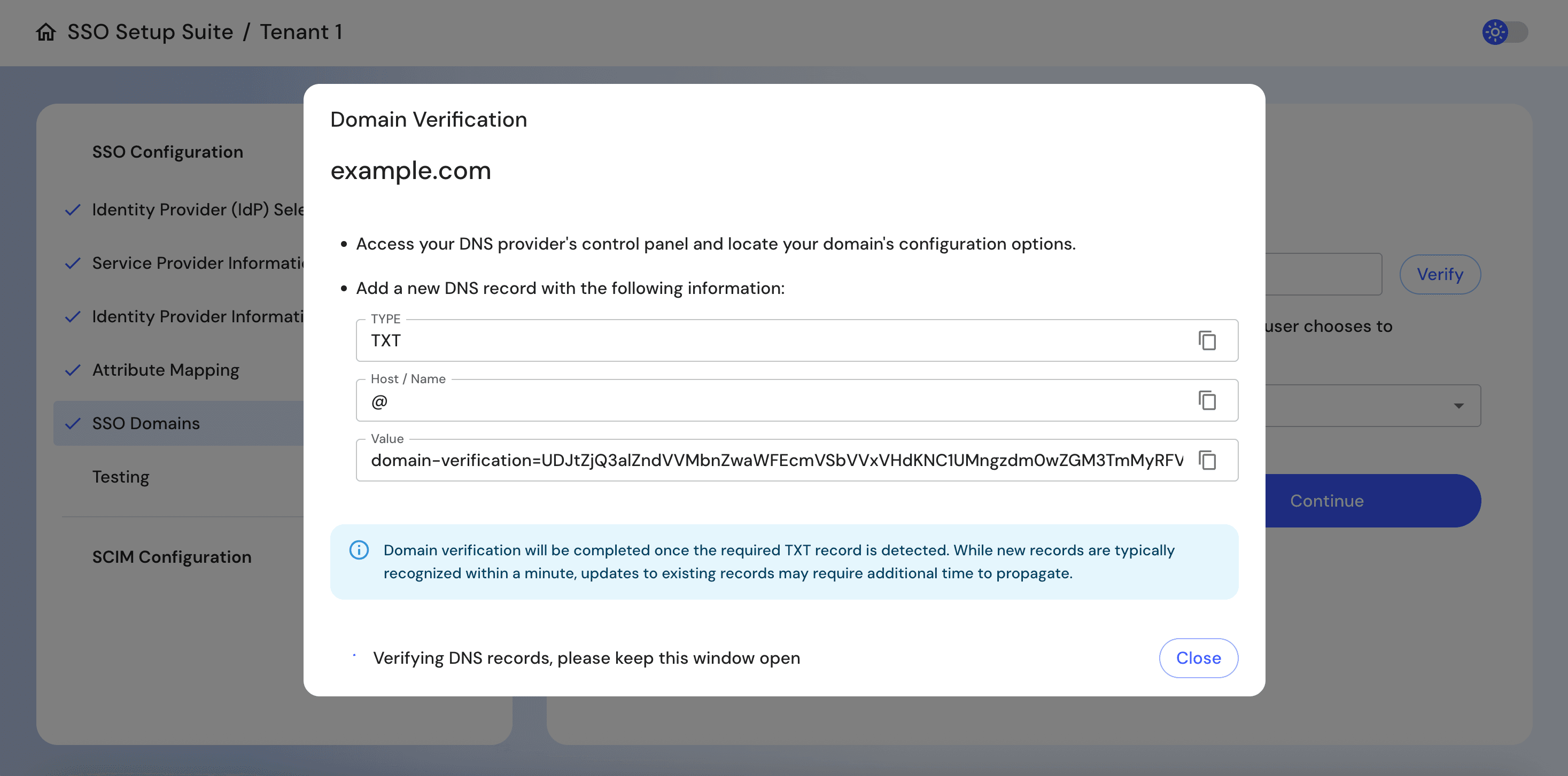SSO Setup Suite Domain Verification