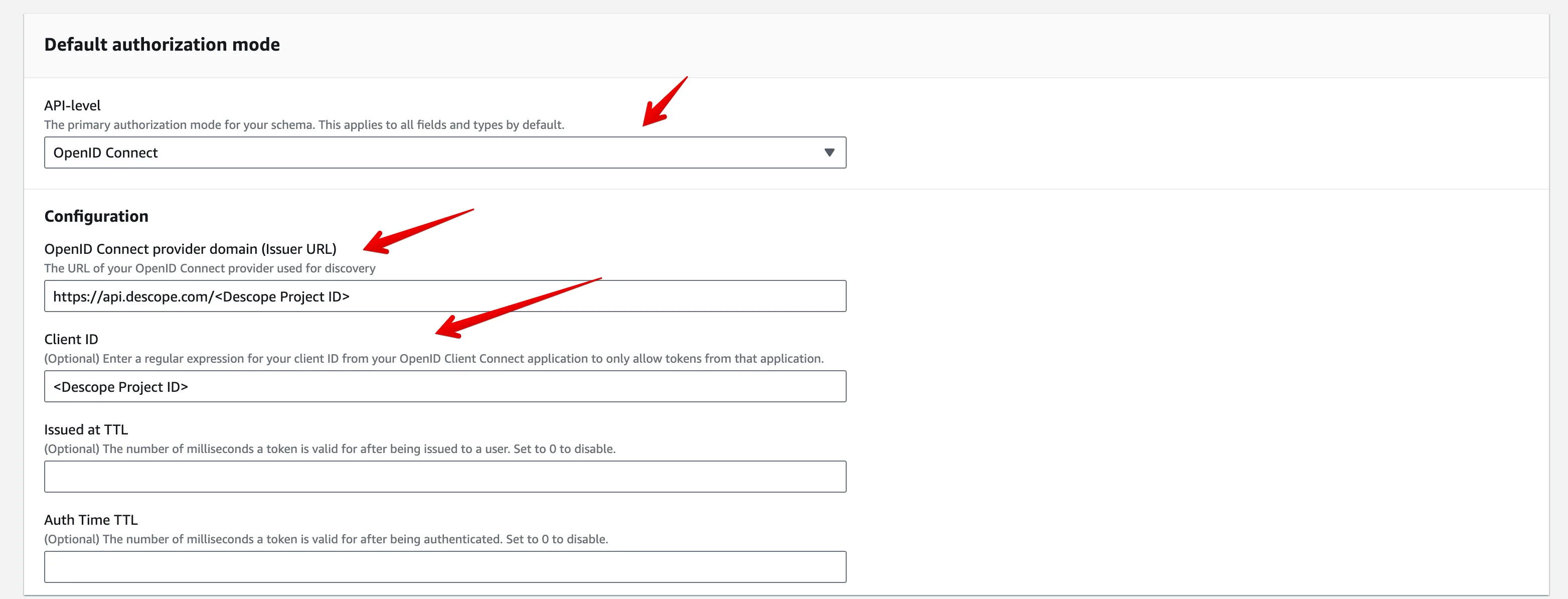 Enable Descope as OIDC Provider in API settings