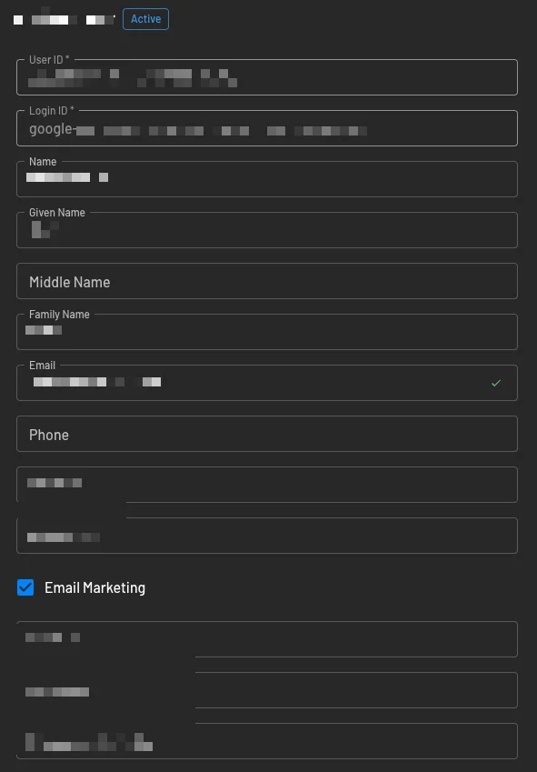 User details after being updated using a checkbox within Descope Flows