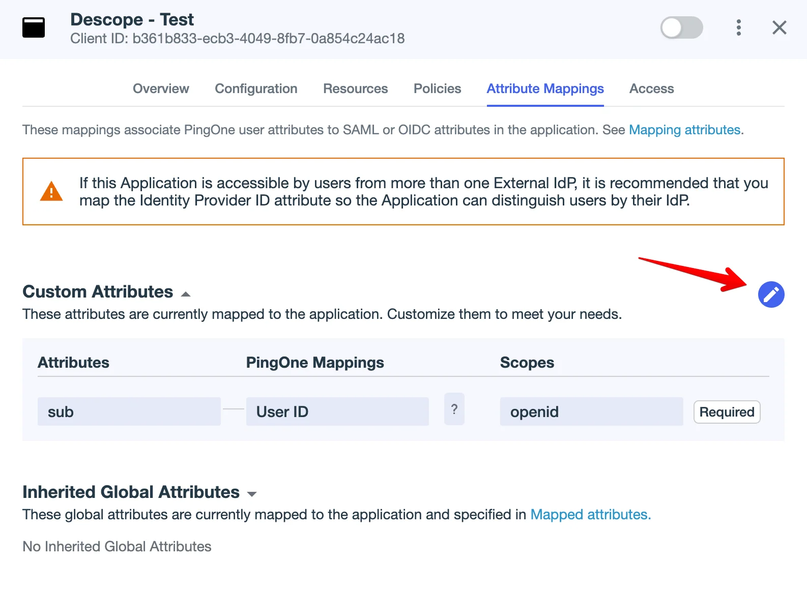 Ping Application Claims and Attributes