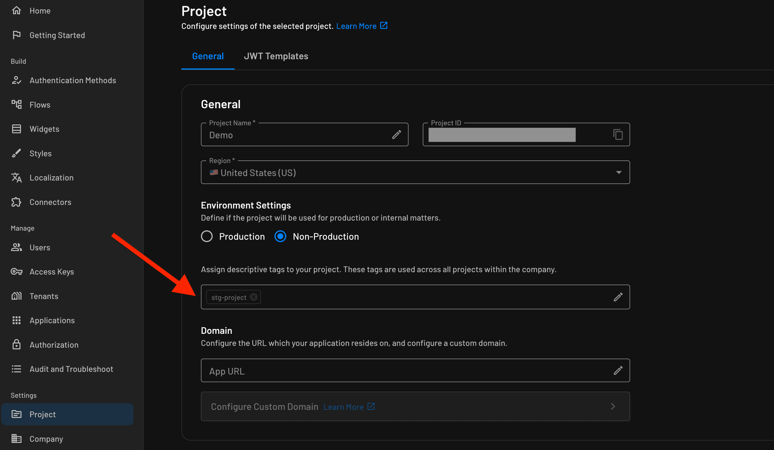 Project Tagging within Descope project