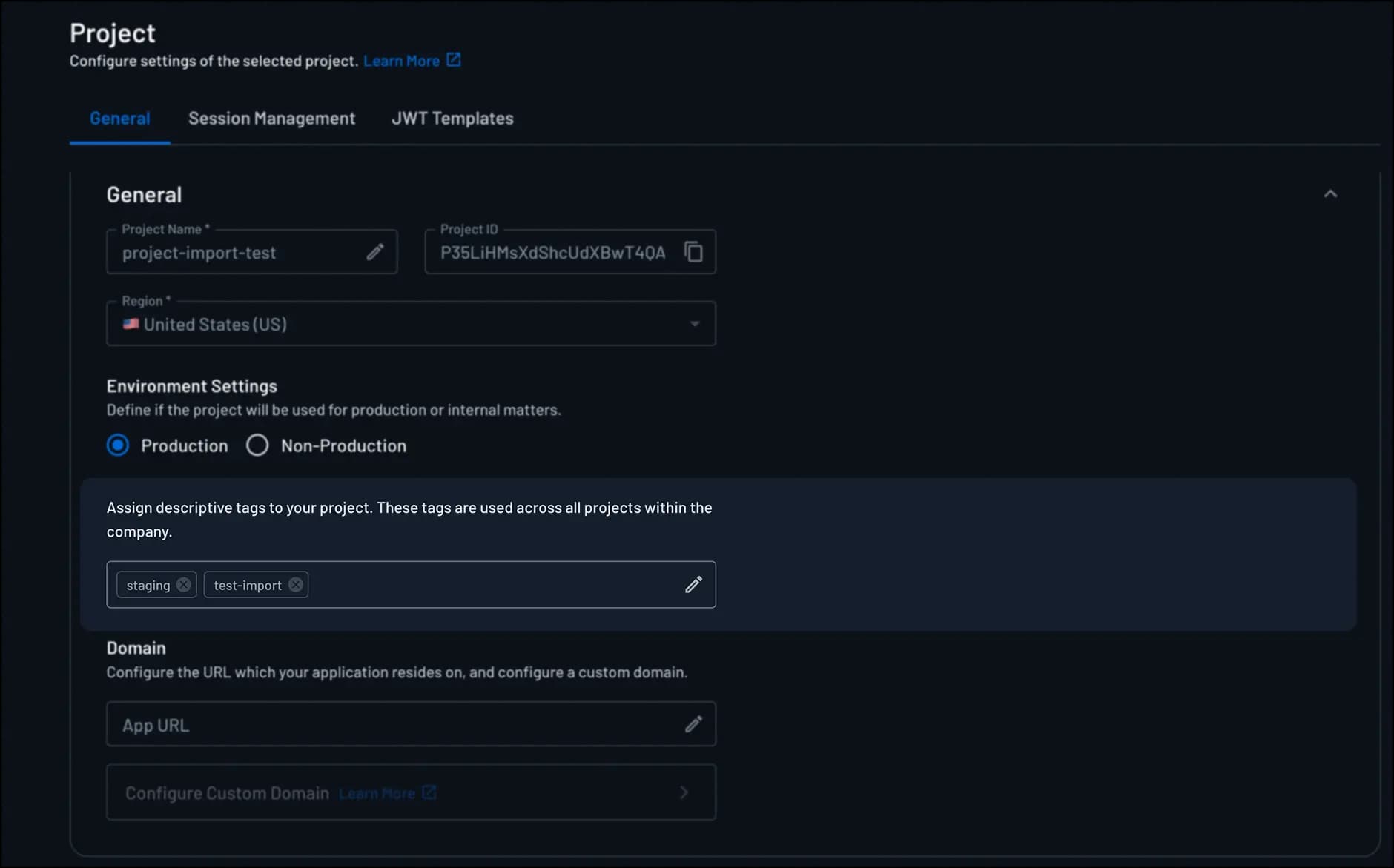 project version tags