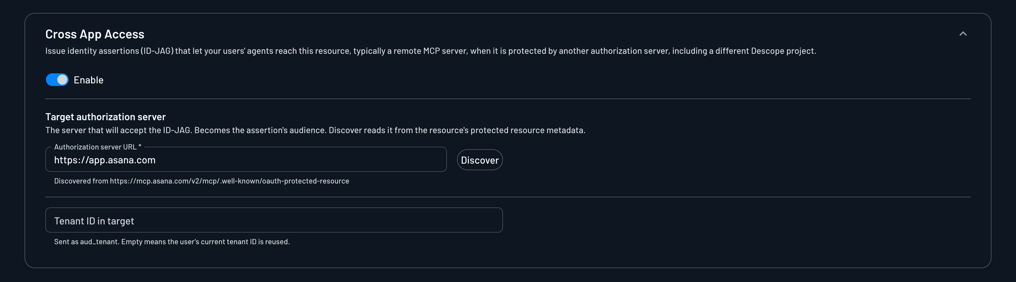 Cross App Access section of a Resource